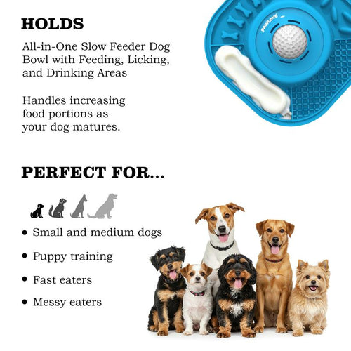 PawLove Slow Feeder